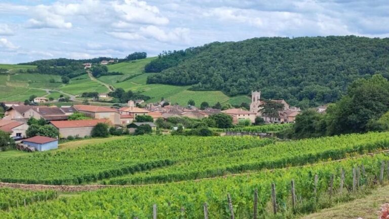 Wine tour in Pouilly Fuissé - Final Thoughts: Is It Worth It?