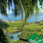 Wine tour in the canton of Vaud - Lavaux vineyards - Who Is This Tour Best For?