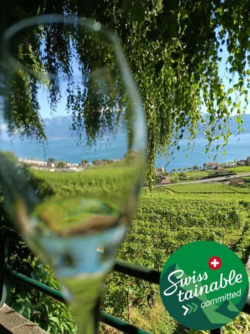 Wine tour in the canton of Vaud - Lavaux vineyards - Who Is This Tour Best For?