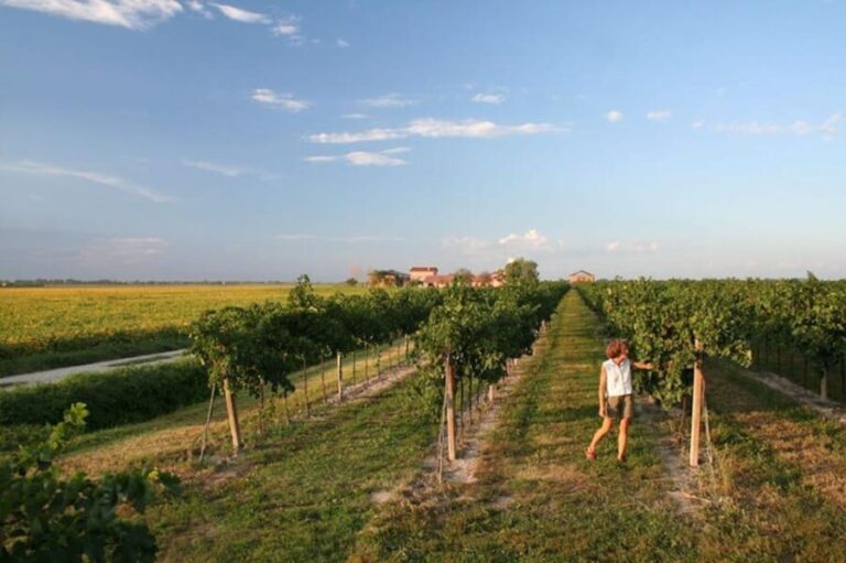 Wine Tour in the Hemingway lands close to Caorle Lagoon - The Itinerary in Detail
