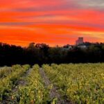 Wine Tour: On the Way to Chateauneuf du Pape - Who Should Consider This Tour?