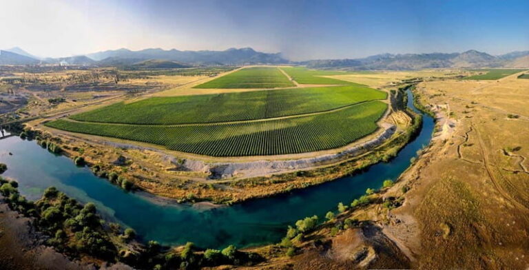 WINE TOUR: Recommended for hedonists! - A Deep Dive into the Montenegro Wine Tour Experience