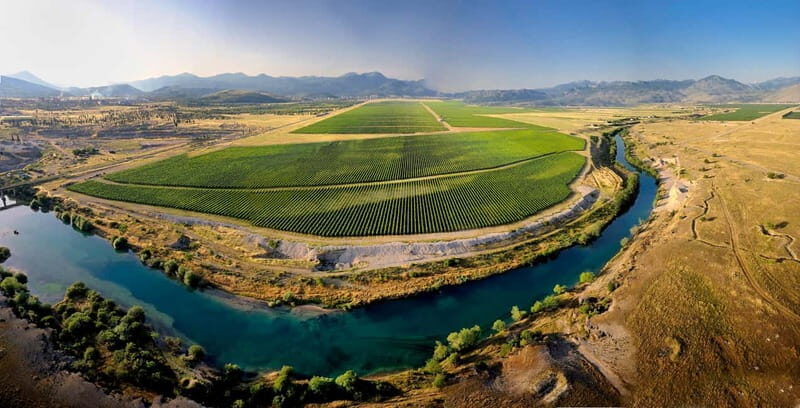 WINE TOUR: Recommended for hedonists! - A Deep Dive into the Montenegro Wine Tour Experience