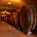 Wine Tour & Tasting TUSCANY - Exploring the Experience