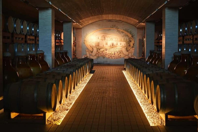 Wine Tour "The pearls of Manduria" - Considerations and Practical Details