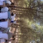 Wine Tour through the vineyards with tasting by Salt Lake - Who Will Love This Tour?