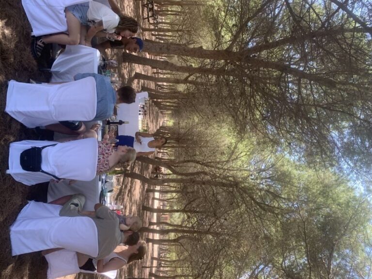 Wine Tour through the vineyards with tasting by Salt Lake - Who Will Love This Tour?