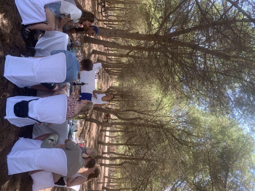 Wine Tour through the vineyards with tasting by Salt Lake - Who Will Love This Tour?