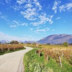 Wine Tour with private driver - The Detailed Breakdown of the Experience