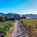 Wine tour with wine tasting - Who Should Consider This Tour?