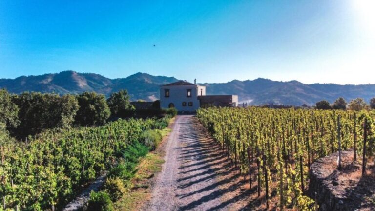 Wine tour with wine tasting - Who Should Consider This Tour?