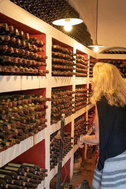 WINERY AND VINSANTAIA TOUR + TASTING + PLATTER - What Makes the Tasting Special