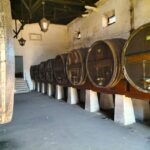 Winery, Tastings & 4WD Vineyards: Half-Day Trip from Lisbon - The Itinerary and Highlights