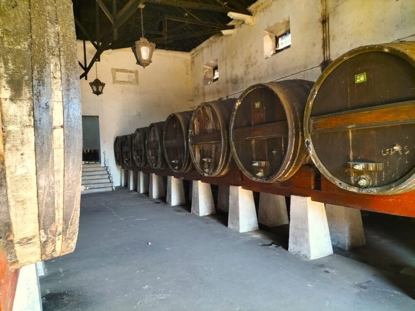 Winery, Tastings & 4WD Vineyards: Half-Day Trip from Lisbon - The Itinerary and Highlights