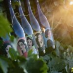 Winery tour and tasting of Sicilian organic wines in Marsala - Authenticity and Value