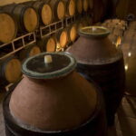 Winery Tour with Wine & Food Tasting near Riccione & Rimini - Real Insights from Guests