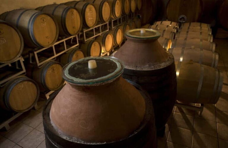 Winery Tour with Wine & Food Tasting near Riccione & Rimini - Real Insights from Guests