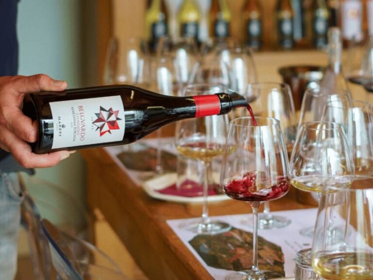 Winery Visit & Tasting near Grosseto with 6 wines - Why This Tour Offers Solid Value