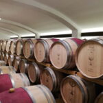 Winery visit & Wine Tasting: half-day tour - Transportation and Logistics