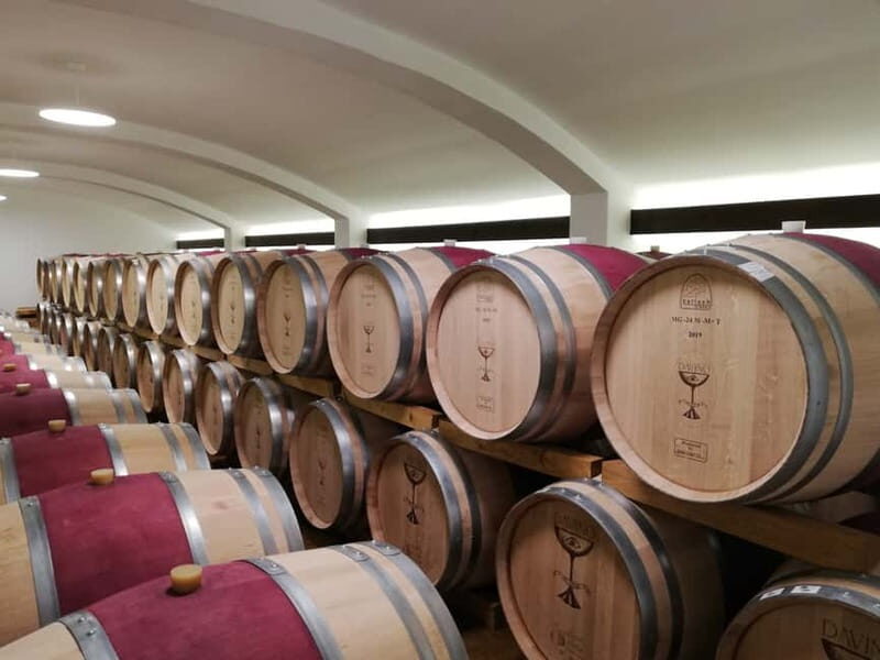 Winery visit & Wine Tasting: half-day tour - Transportation and Logistics
