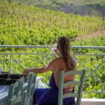 Wines of Rhodes: Traditional Wine Tasting in the vineyards - The Tasting Experience
