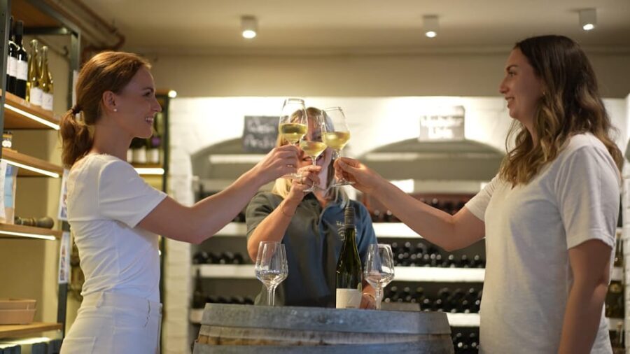 Winetasting / Weinprobe Koblenz - What to Expect During the Winetasting