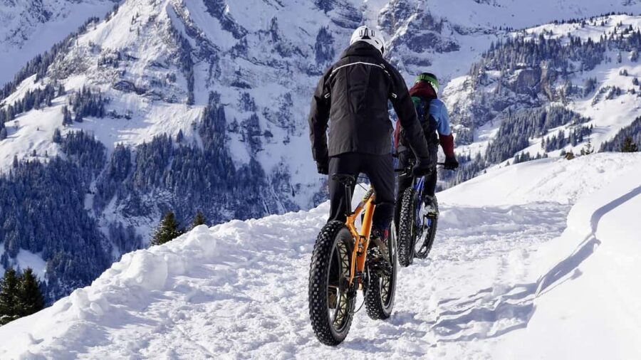 Winter E-Bike Tour| A Royal Coastal Adventure - Who It’s Best For