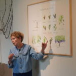 Wiston Estate: Winery Tour and Tasting - Why This Tour Offers Great Value