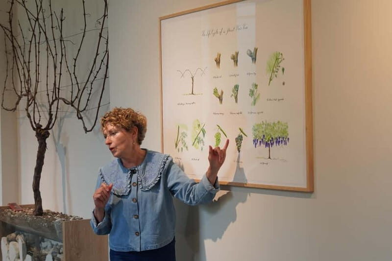 Wiston Estate: Winery Tour and Tasting - Why This Tour Offers Great Value