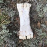 Wolf and Wildlife Tracking in Sweden - The Tracking Experience: What to Expect