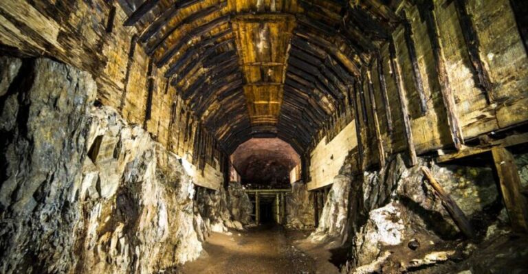 Wroclaw: WW2 Tour to Project Riese & Gross-Rosen Museum - Who Will Appreciate This Tour?