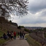 Wuerzburg: Wine mountain rally with wine tasting and group dynamics - What Does the Tour Actually Offer?