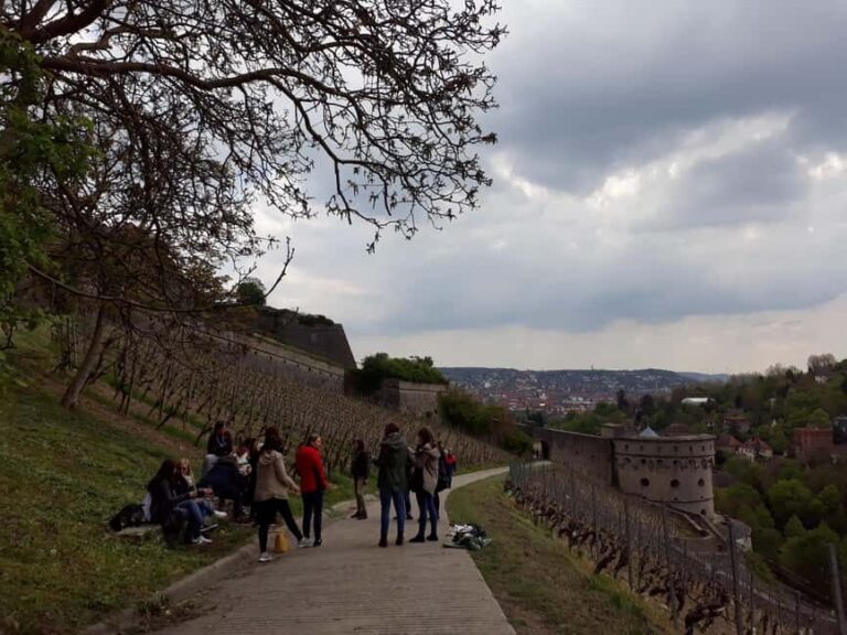 Wuerzburg: Wine mountain rally with wine tasting and group dynamics - What Does the Tour Actually Offer?