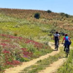 WWF E-BIKE TOUR | Riserva Naturale di Torre Salsa Con pranzo - The Itinerary: A Closer Look