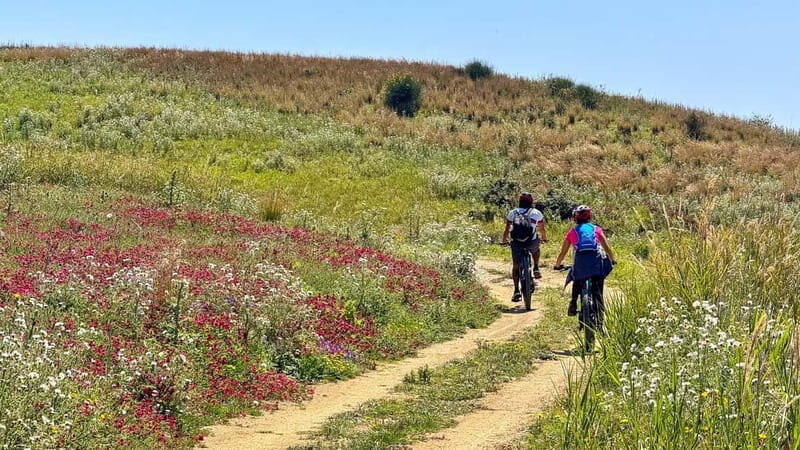 WWF E-BIKE TOUR | Riserva Naturale di Torre Salsa Con pranzo - The Itinerary: A Closer Look