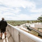 XXI Century Olive Oil Mill Tour - Exploring the Olive Oil Mill Tour in Detail