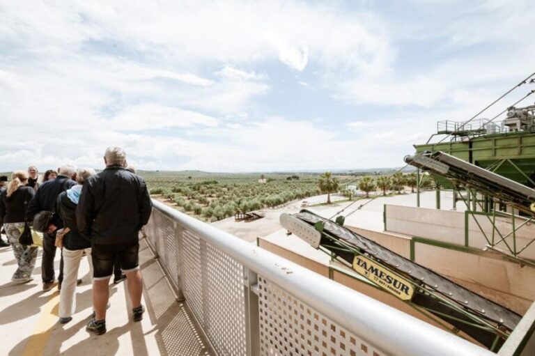 XXI Century Olive Oil Mill Tour - Exploring the Olive Oil Mill Tour in Detail