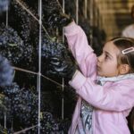 Yerevan: Gevorkian Winery Tour and Tasting Experience - The Cellar and Tasting Room