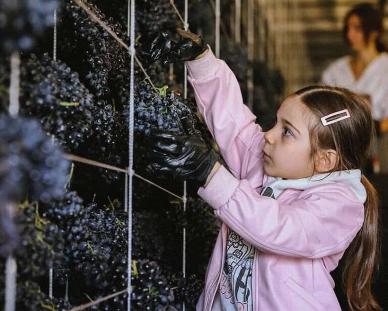 Yerevan: Gevorkian Winery Tour and Tasting Experience - The Cellar and Tasting Room