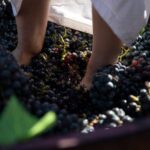 Yerevan: Khor Virap Day Trip with Mount Ararat Wine Tasting - FAQ