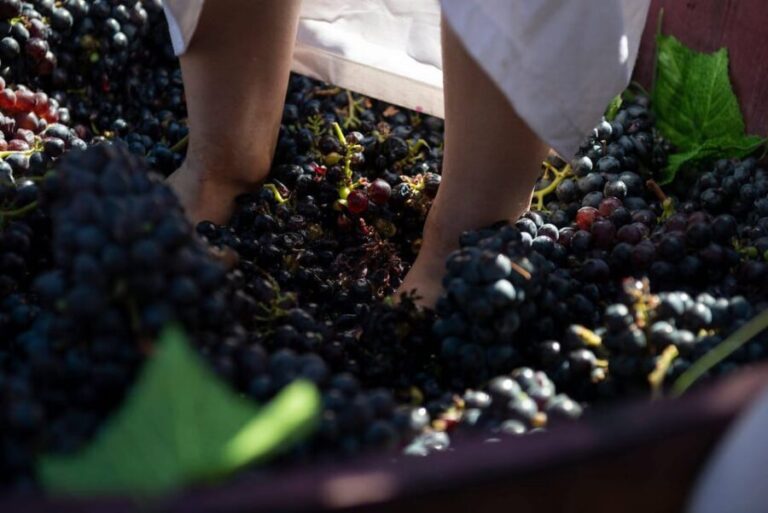 Yerevan: Khor Virap Day Trip with Mount Ararat Wine Tasting - FAQ