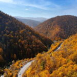 Yerevan to Tbilisi Day Tour: Unveiling Transcultural Wonders - Transportation and Group Dynamics