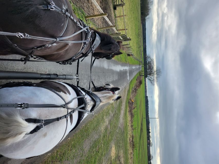 York: Horse Drawn Carriage ride & Cream Tea - The Itinerary: What to Expect