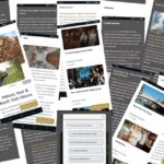 York & North Yorkshire Moors: Online Travel Guide - An In-Depth Look at the North Yorkshire Self-Drive Experience