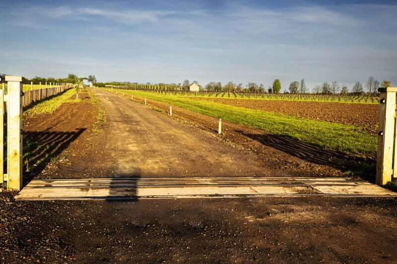 Yorkshire: Loversall Vineyard Wine Tasting and Tour - Who Will Love This Tour?