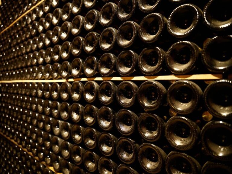 Your Cava, Your Story Wine workshop experience at Artcava - Who Would Love This Tour?