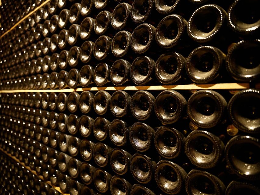 Your Cava, Your Story  Wine workshop experience at Artcava - Who Would Love This Tour?