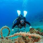 Your first introductory dive in Lanzarote with FREE photos. - FAQ