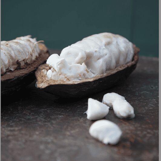 Zaandijk: Chocolate making demonstration & tasting - Final thoughts