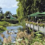 Zaanse Schans: Pancake Restaurant Visit - Final Thoughts